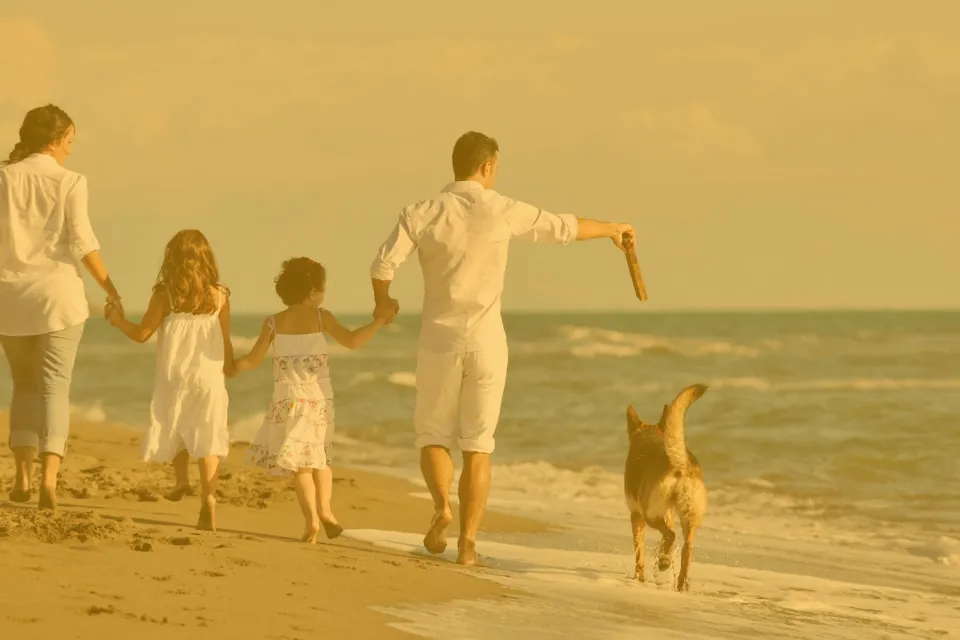 Gezin loopt hand in hand met een hond over het strand in gouden licht