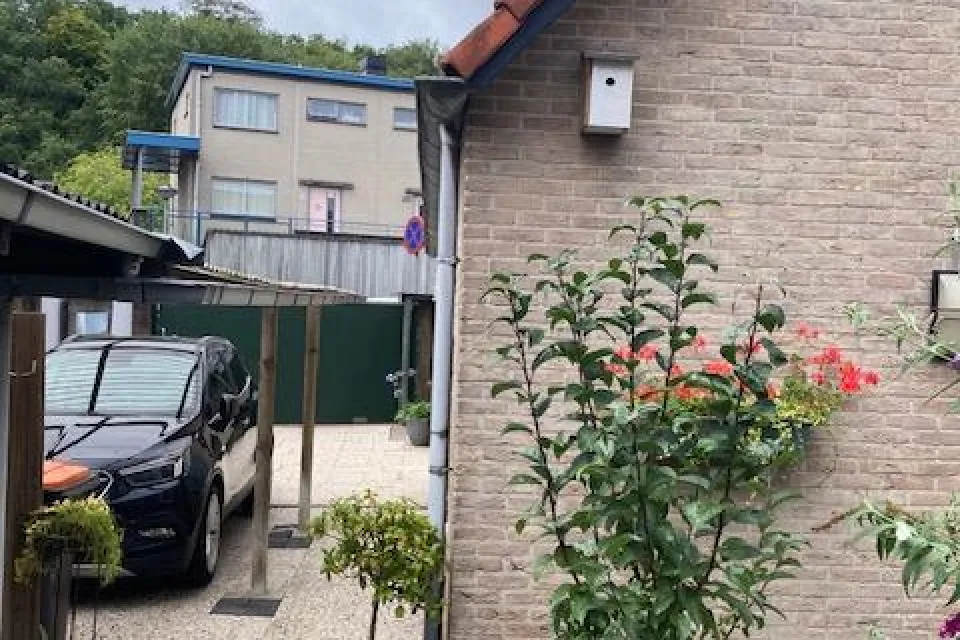 Zicht op bos en duin