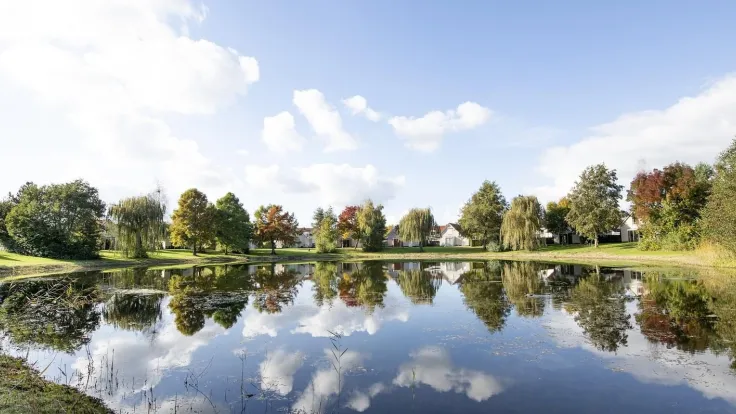 De Boschmolenplas met bomen en vakantiehuizen weerspiegeld in het stille water