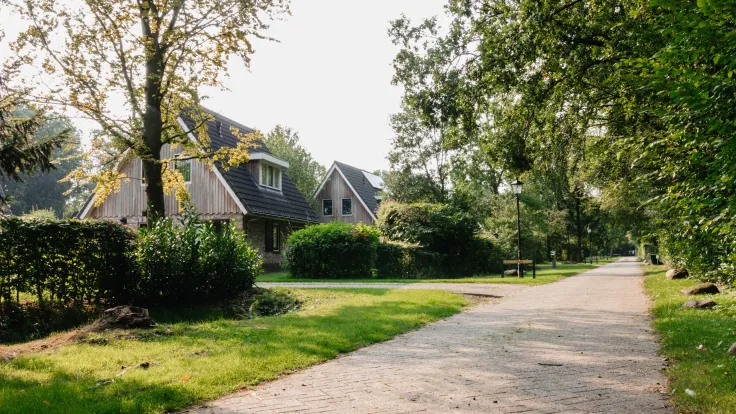 Zandpad langs vakantiehuizen met hagen en hoge bomen op het park