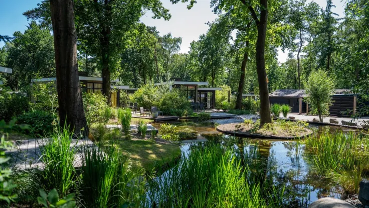 Natuurvijver met oeverbeplanting tussen de vakantiehuizen in het bos
