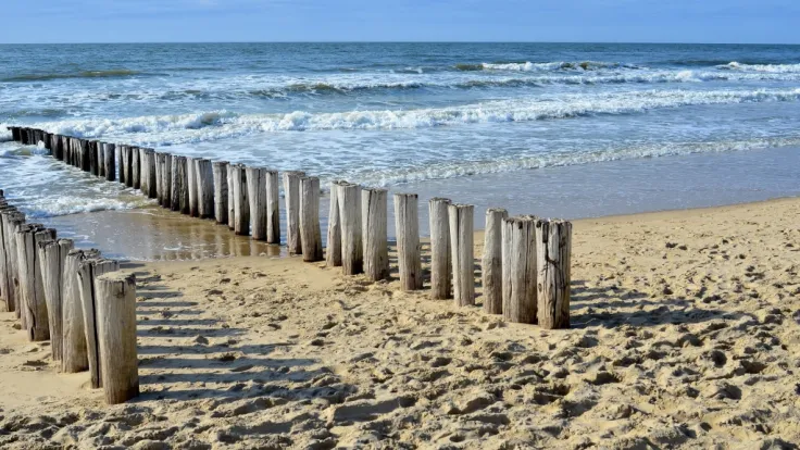 Rij houten palen van een golfbreker op het strand bij de branding