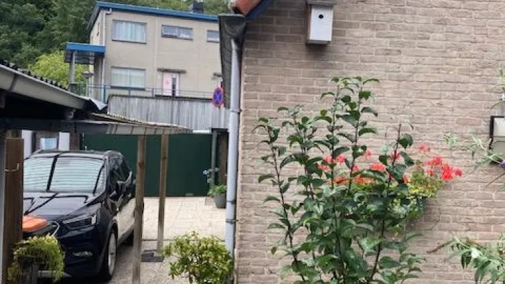 Zicht op bos en duin